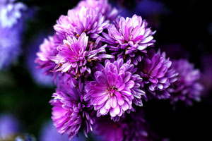 在线DDOS平台攻击